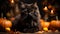 A mischievous cat lounges in the warm glow of a flickering pumpkin-shaped halloween candle