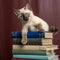 Mischievous Siamese Kitten Playing with Books