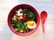 Miso and soba noodle soup with bok choy, tofu, egg, green onion and chili