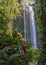 Misol-Ha waterfall (Cascada de Misol-Ha) among trees and flowers, Chiapas, MÃ©xico