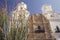 The Mission San Xavier Del Bac was erected between 1783 and 1897 in Tucson Arizona