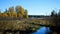 Mississippi River is seen about 300 feet from the source, Lake Itasca, in distance.