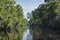 Mississippi River Through Woodlands of Jean Lafitte National Park