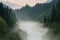 Mist above river and forest