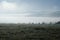 Mist Across Meadow on sunny morning