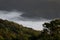 The mist cloud on mountain with forest