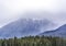 Mist covered majestic mountains with pine tree forest in foreground.