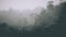 Mist: Enchanted Fir Forest in Retro Hipster Style