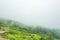 The mist floated past the mountain village in Thailand