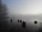 Mist floats silently above swamp pond at sunrise