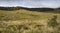 Mist Forest, savanna and clouds at Horton Plains