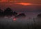 Mist hangs low at sunrise over Okavango Delta Botswana, Africa