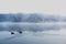 Mist hovering over a cold lake in Goldsworth Park, Surrey, Woking, England