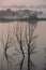 Mist on a lake at dawn with clouds