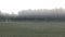 Mist on a Morning in a Soccer Field in Tigre, Buenos Aires Province, Argentina.