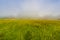 Mist over Austrian landscape