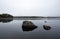 Mist over a calm natural lake