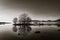 Mist over Loch Lomond in black and white