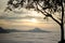 Mist Phu Tok at Chiang Khan.