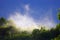 Mist rises over the forest after the rain during summer