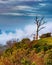 Mist rises from the valley below engulfing the fall colors on the Blue Ridge Parkway1