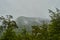 Mist rising from coastal rain forest of the pacific coast of Chile in Patagonia.