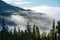 mist rising from valleys in forest in slovakia Tatra mountains