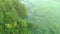 Mist swamp aerial view foggy green tree lush shrub