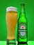 misted and slightly frosty bottle of heineken beer with a mug of poured beer with foam. green background