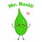 Mister fresh Basil