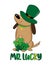 Mister Lucky - funny St Patrick\\\'s Day design. Cute dog in hat, and with clover leaves.