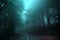 Misterious foggy forest