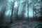 Misterious foggy forest
