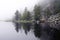 Misterious, foggy lake with pines