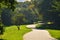 Misterious shady green alley with trees