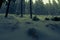 Misterious winter forest