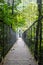 Mistico Arenal Hanging Bridges Park