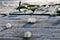 Mistletoe balls on a wooden table covered with shimmering frost, with blurred green twigs and mistletoe remains on the background