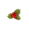 Mistletoe holly berry Christmas decoration element