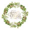 Mistletoe isolated. Traditional Christmas plant. Holiday red berry with green leaves. Decorating for national Festive on