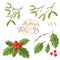 Mistletoe isolated. Traditional Christmas plant. Holiday red Holly berry with green leaves. Decorating for national