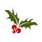 Mistletoe Merry Christmas Icon
