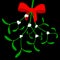 Mistletoe with red bow