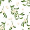 Mistletoe seamless pattern on white background. Vector illustration of green branches, leaves and berries