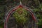 Mistletoe twigs on a metal arch in front of a stone wall, according to traditional Christmas custom you may kiss anybody