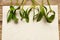 Mistletoe twigs and sheet of paper on wooden background