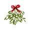 Mistletoe. Vector illustration of hanging fluffy mistletoe sprigs with berries and red bow