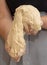 Mistress kneads the dough in the kitchen