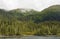 Mists on the Coastal Rain Forest