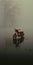 Misty Atmosphere: Surrealistic Red Moped In Enigmatic Rapids